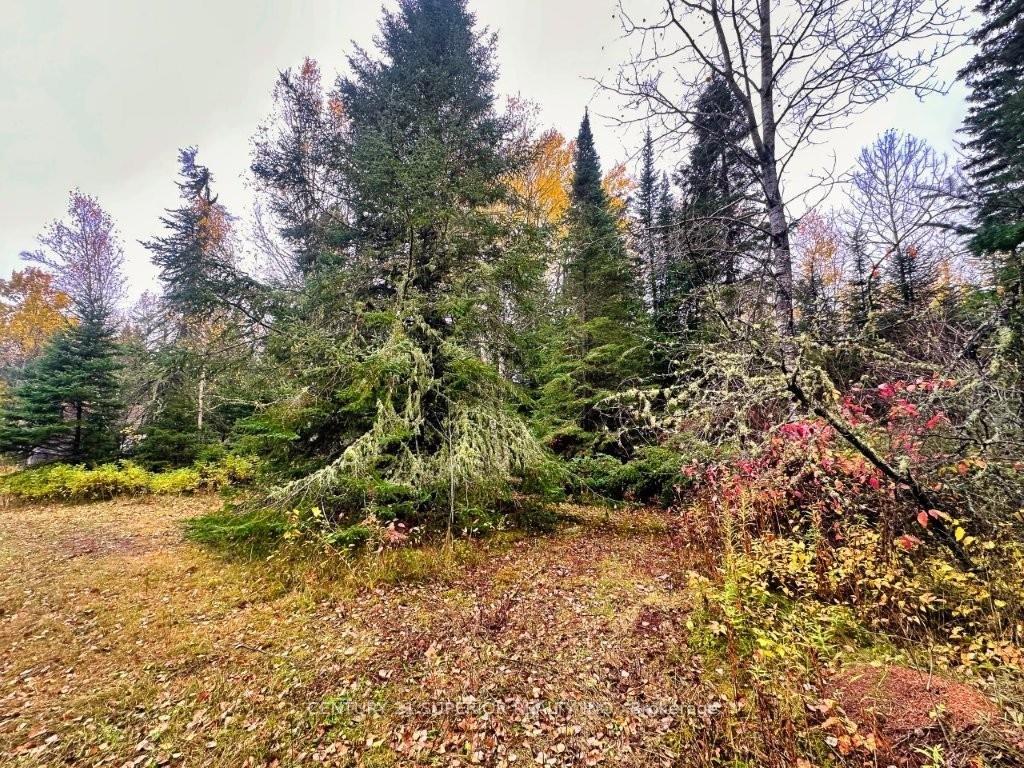 Photo 33 of 149 Hwy 582, Thunder Bay Remote Area — HOMEH