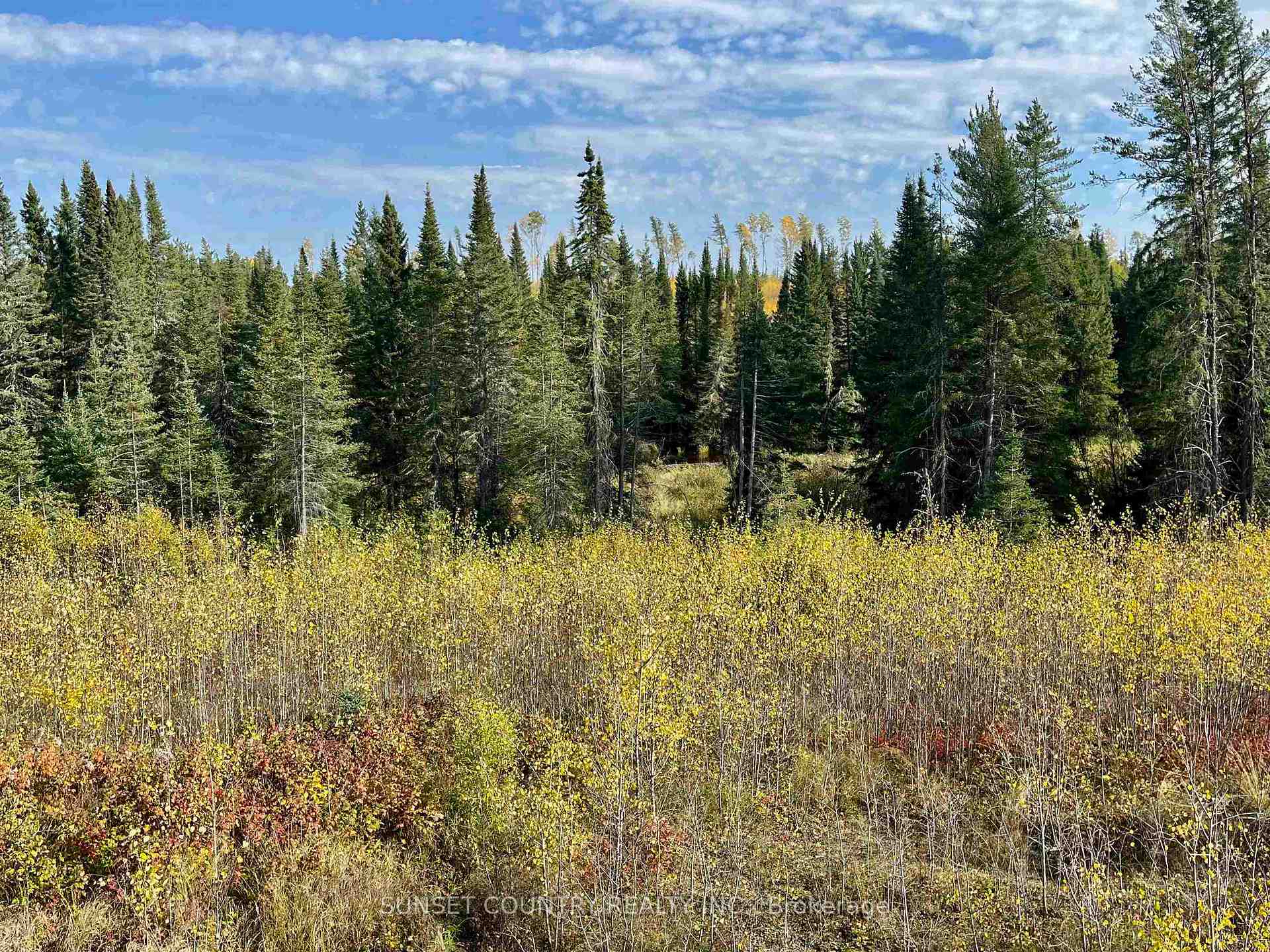 Photo 10 of McLean Lake Road, Kenora Remote Area, Richan — HOMEH