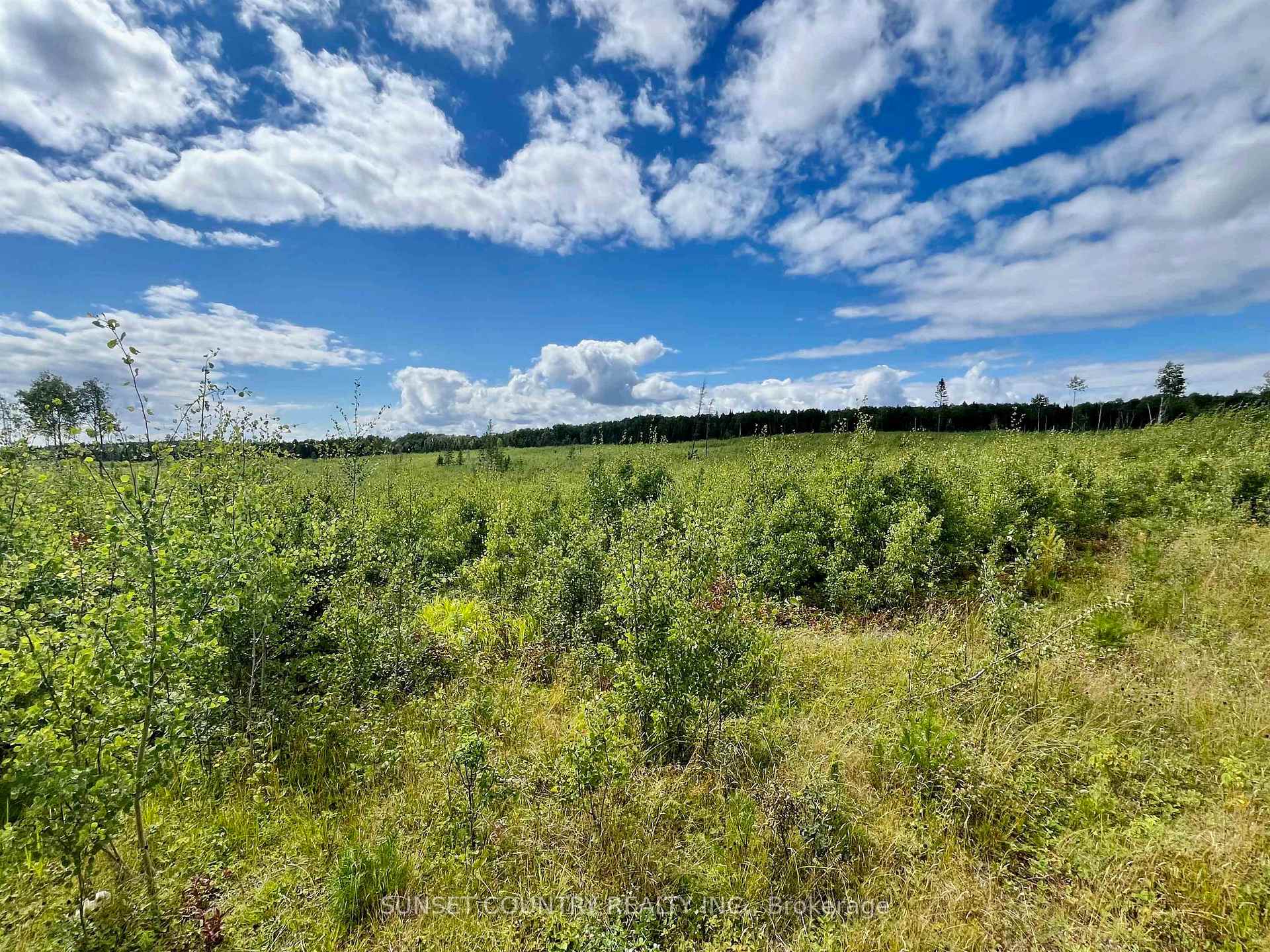 Photo 21 of McLean Lake Road, Kenora Remote Area, Richan — HOMEH