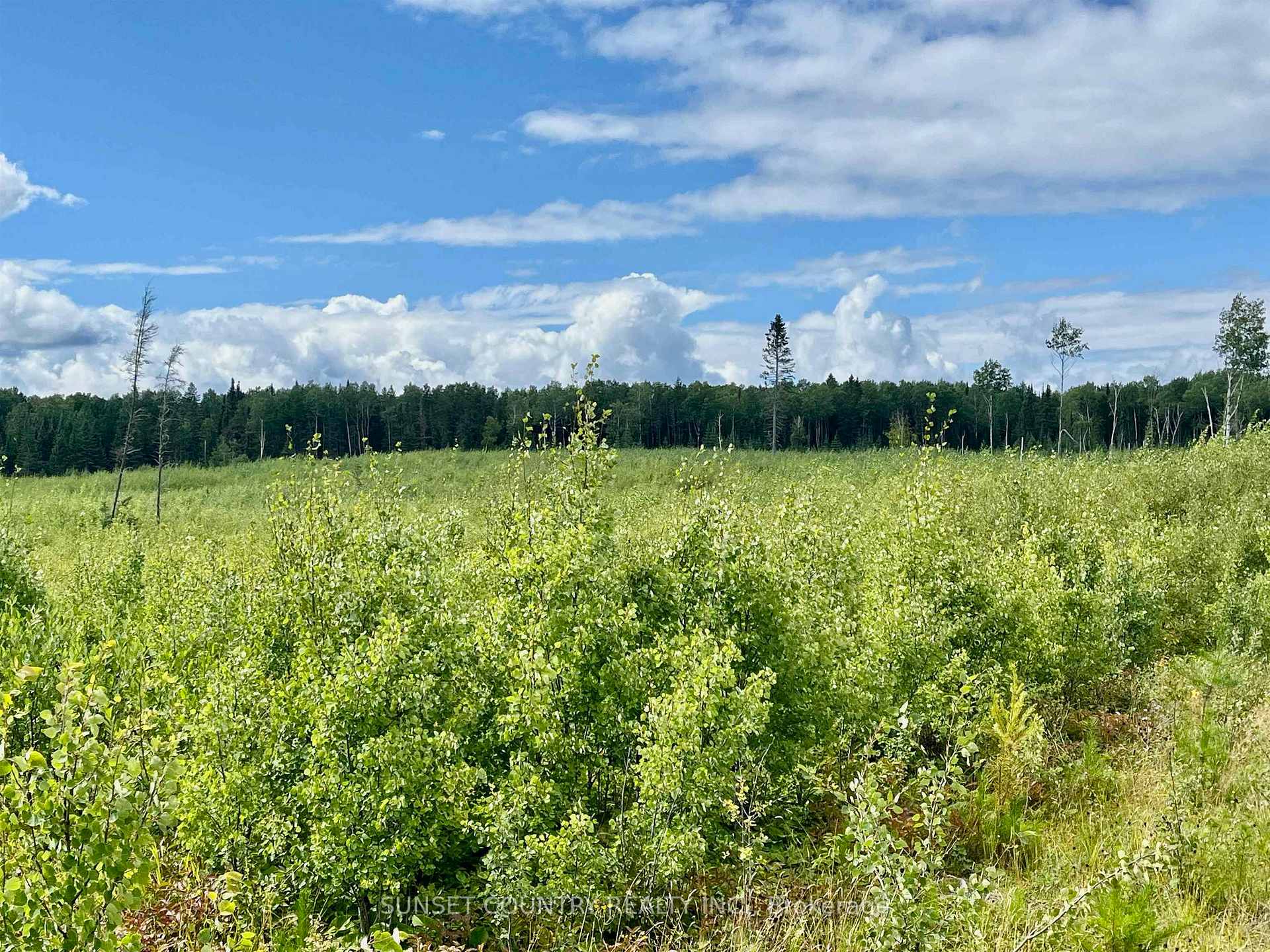 Photo 22 of McLean Lake Road, Kenora Remote Area, Richan — HOMEH