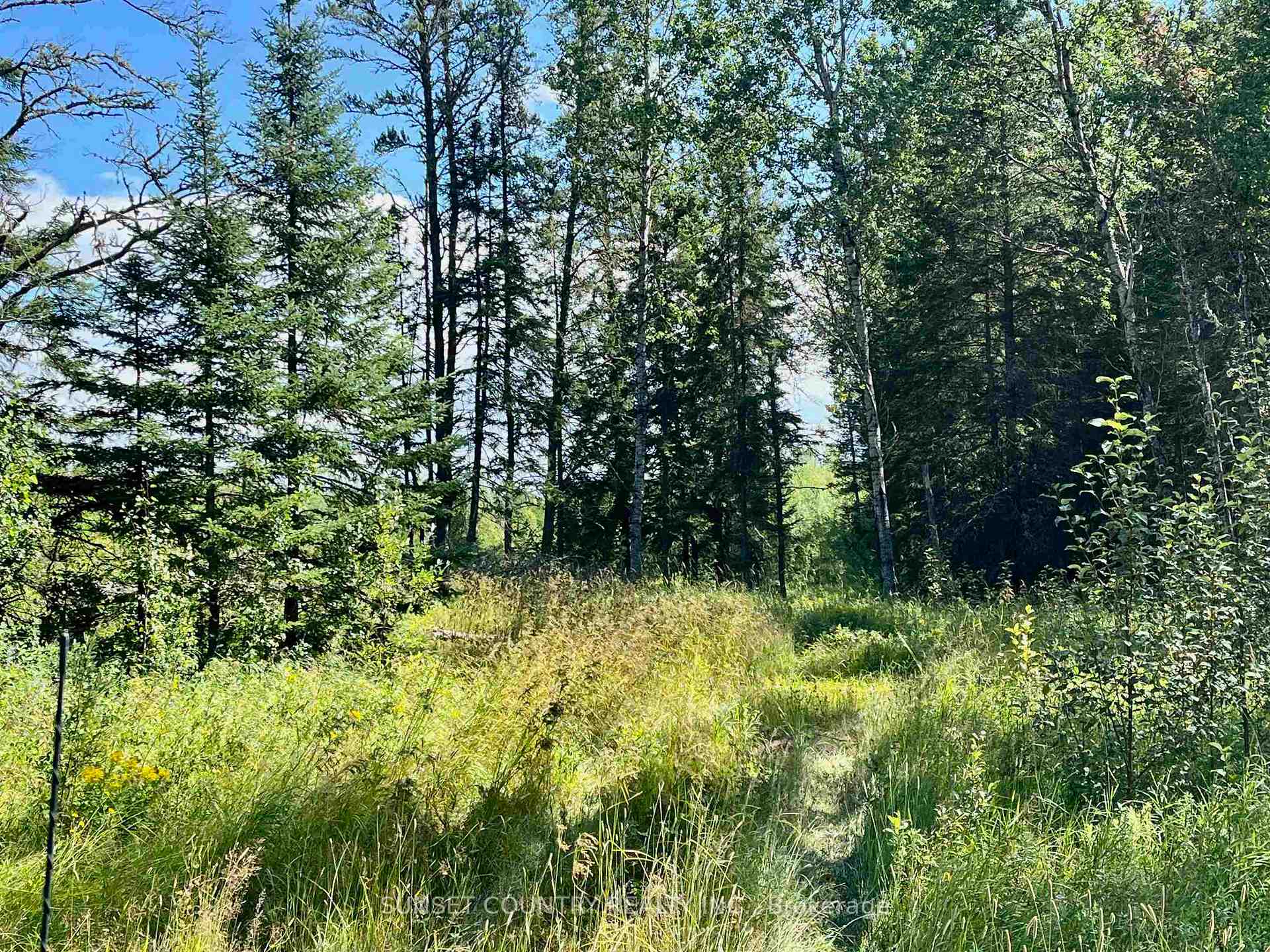 Photo 24 of McLean Lake Road, Kenora Remote Area, Richan — HOMEH