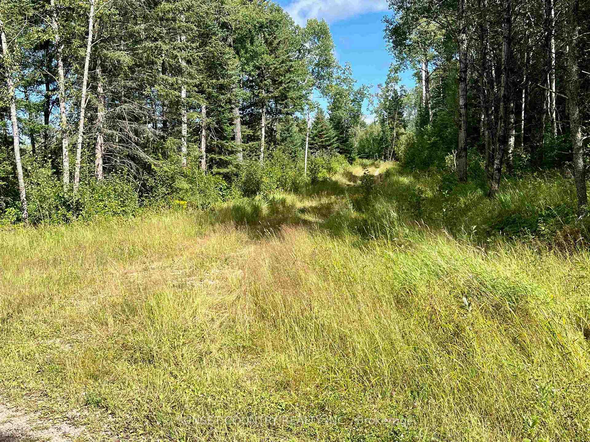 Photo 26 of McLean Lake Road, Kenora Remote Area, Richan — HOMEH