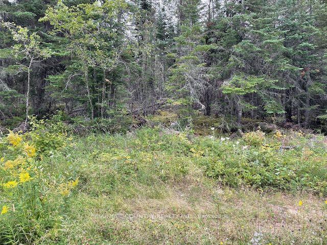 Photo 9 of 131 Lakeview Road, Dryden, Thunder Lake — HOMEH