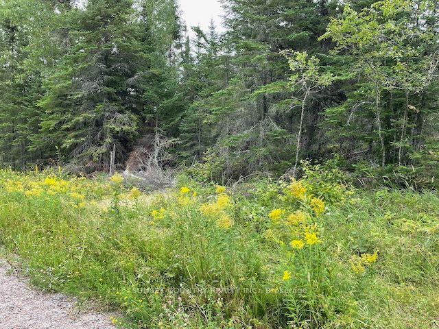 Photo 10 of 131 Lakeview Road, Dryden, Thunder Lake — HOMEH