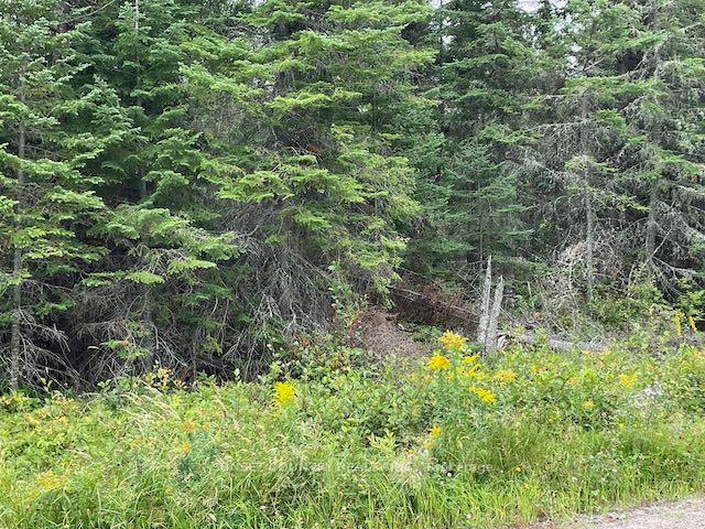 Photo 11 of 131 Lakeview Road, Dryden, Thunder Lake — HOMEH