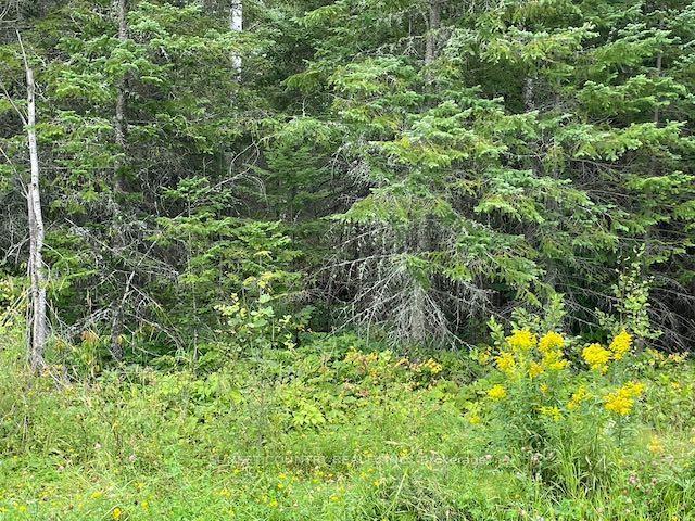Photo 12 of 131 Lakeview Road, Dryden, Thunder Lake — HOMEH