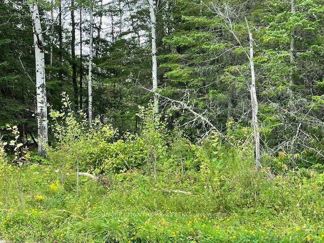 Photo 13 of 131 Lakeview Road, Dryden, Thunder Lake — HOMEH