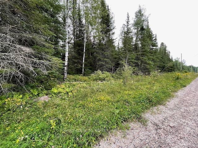 Photo 14 of 131 Lakeview Road, Dryden, Thunder Lake — HOMEH