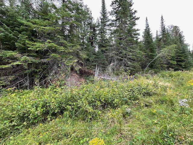 Photo 15 of 131 Lakeview Road, Dryden, Thunder Lake — HOMEH