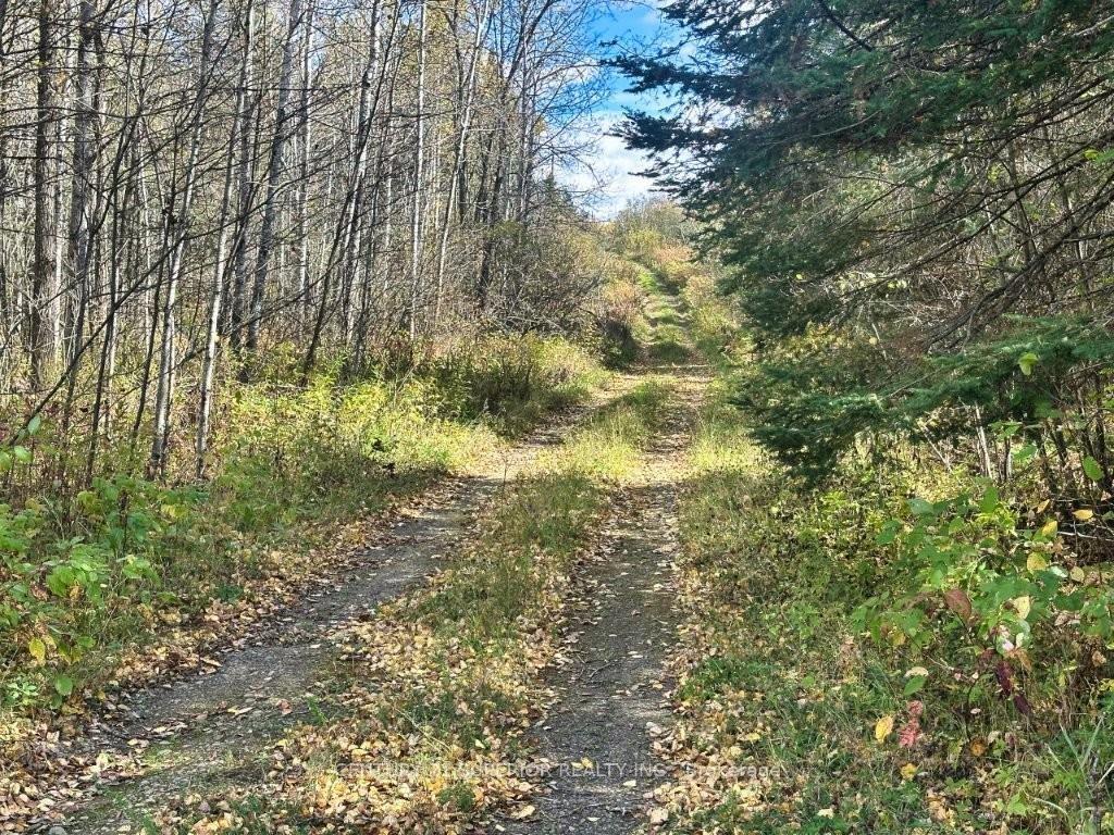Photo 2 of 267 Sitch Road, O'Connor — HOMEH