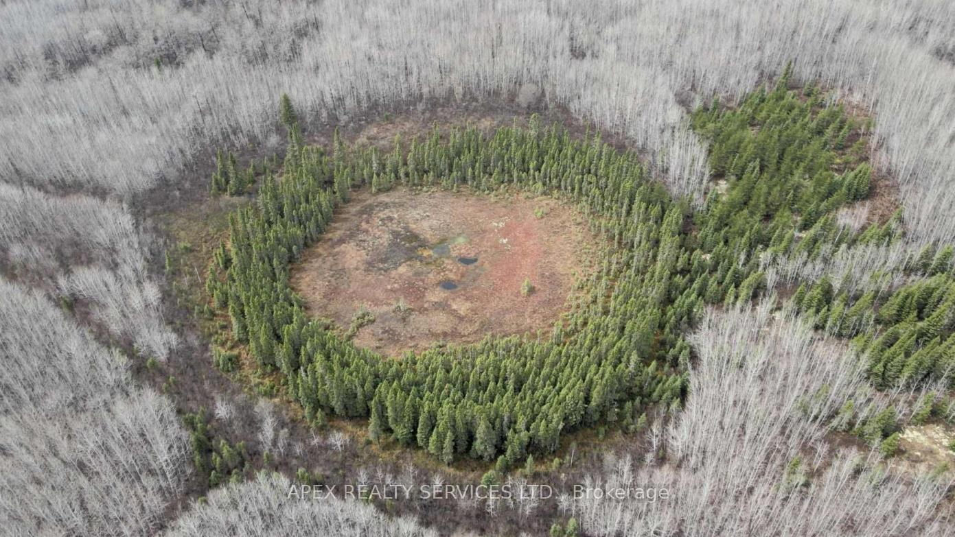 Photo 1 of 161.5 Acres Parcel 445, Black River Matheson, Matheson Unorganized — HOMEH