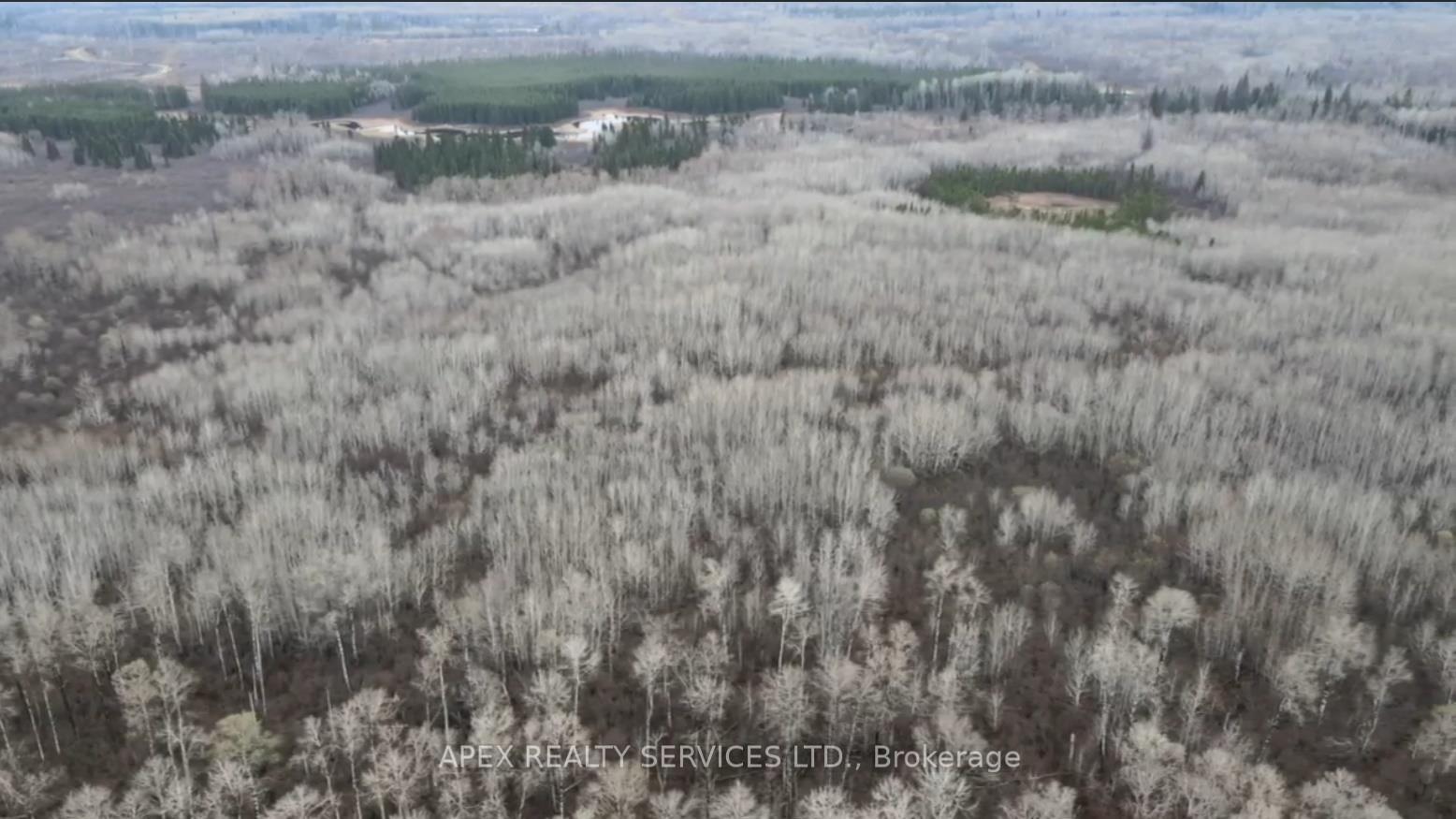Photo 2 of 161.5 Acres Parcel 445, Black River Matheson, Matheson Unorganized — HOMEH
