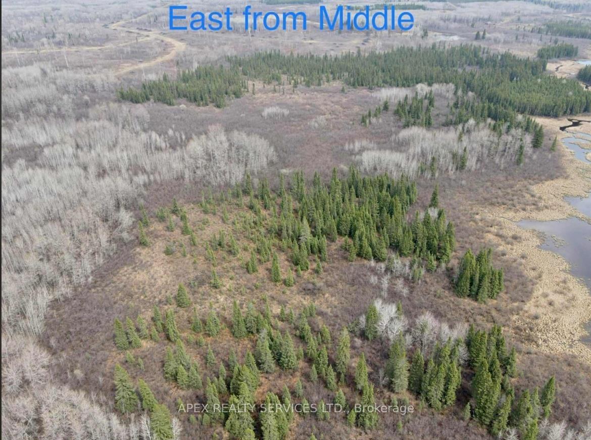 Photo 7 of 161.5 Acres Parcel 445, Black River Matheson, Matheson Unorganized — HOMEH