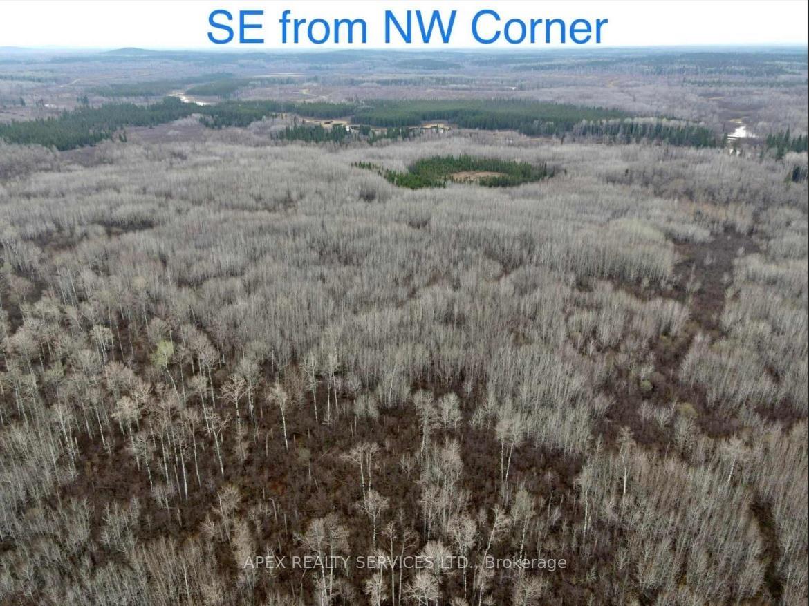 Photo 10 of 161.5 Acres Parcel 445, Black River Matheson, Matheson Unorganized — HOMEH