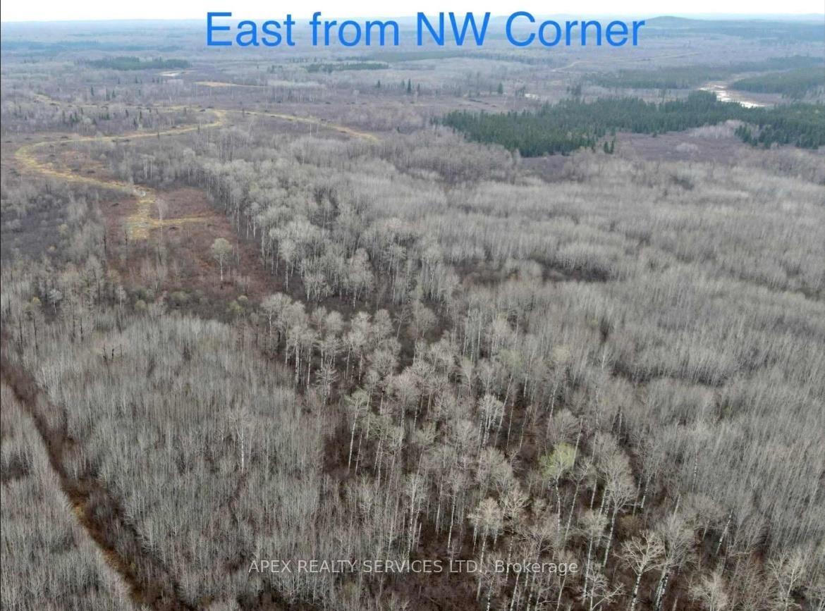 Photo 11 of 161.5 Acres Parcel 445, Black River Matheson, Matheson Unorganized — HOMEH