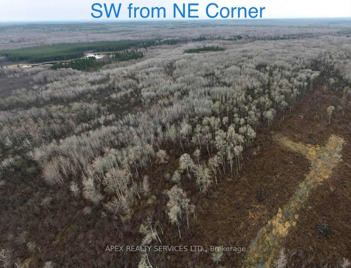 Photo 12 of 161.5 Acres Parcel 445, Black River Matheson, Matheson Unorganized — HOMEH