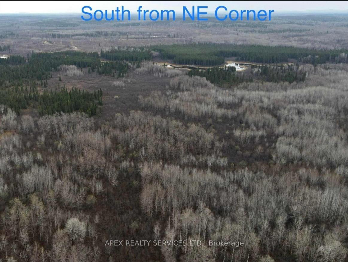 Photo 13 of 161.5 Acres Parcel 445, Black River Matheson, Matheson Unorganized — HOMEH