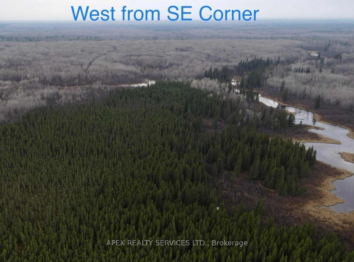 Photo 15 of 161.5 Acres Parcel 445, Black River Matheson, Matheson Unorganized — HOMEH