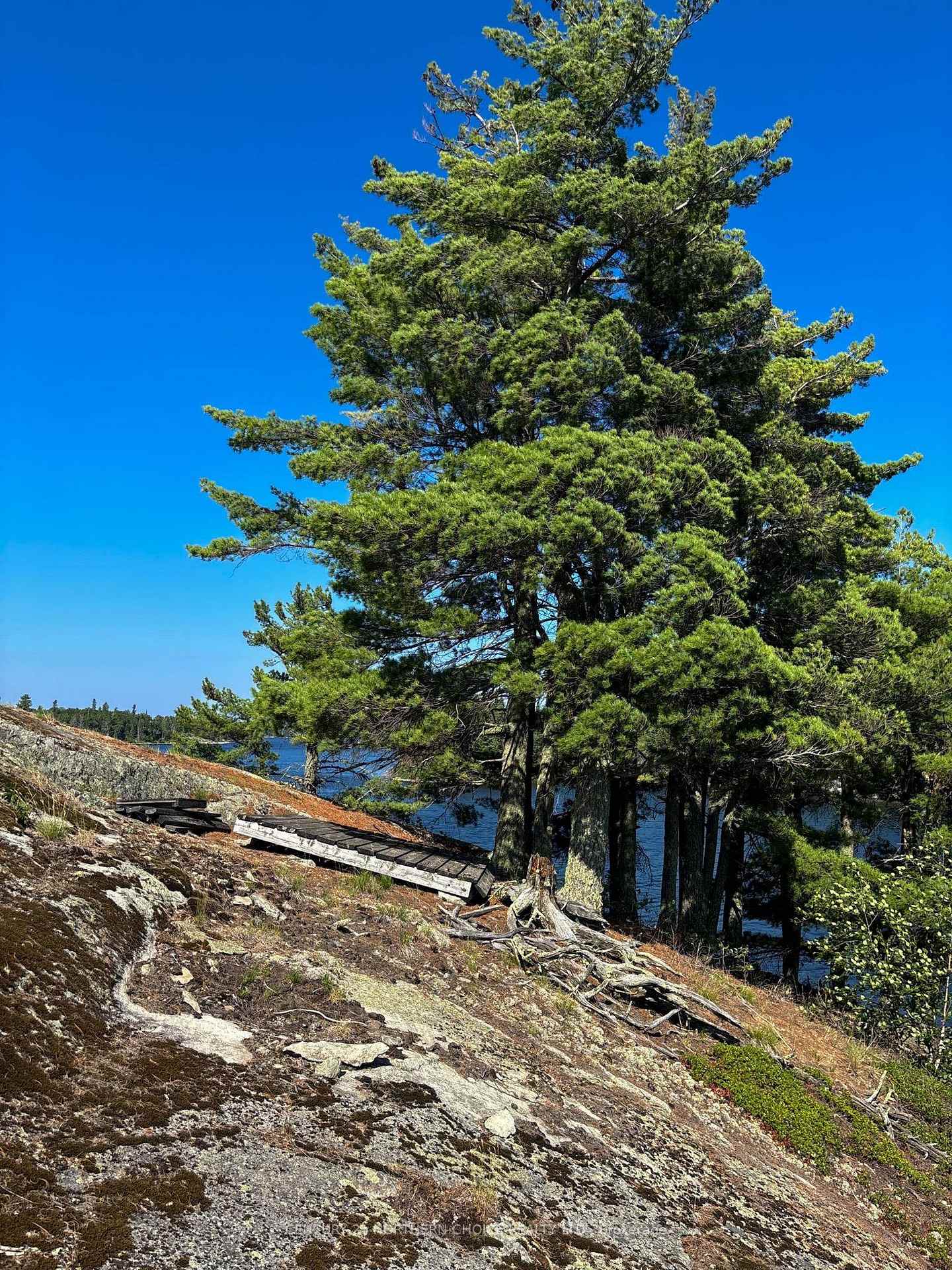 Photo 17 of KM270 Island, Kenora Remote Area, Lake of the Woods North — HOMEH