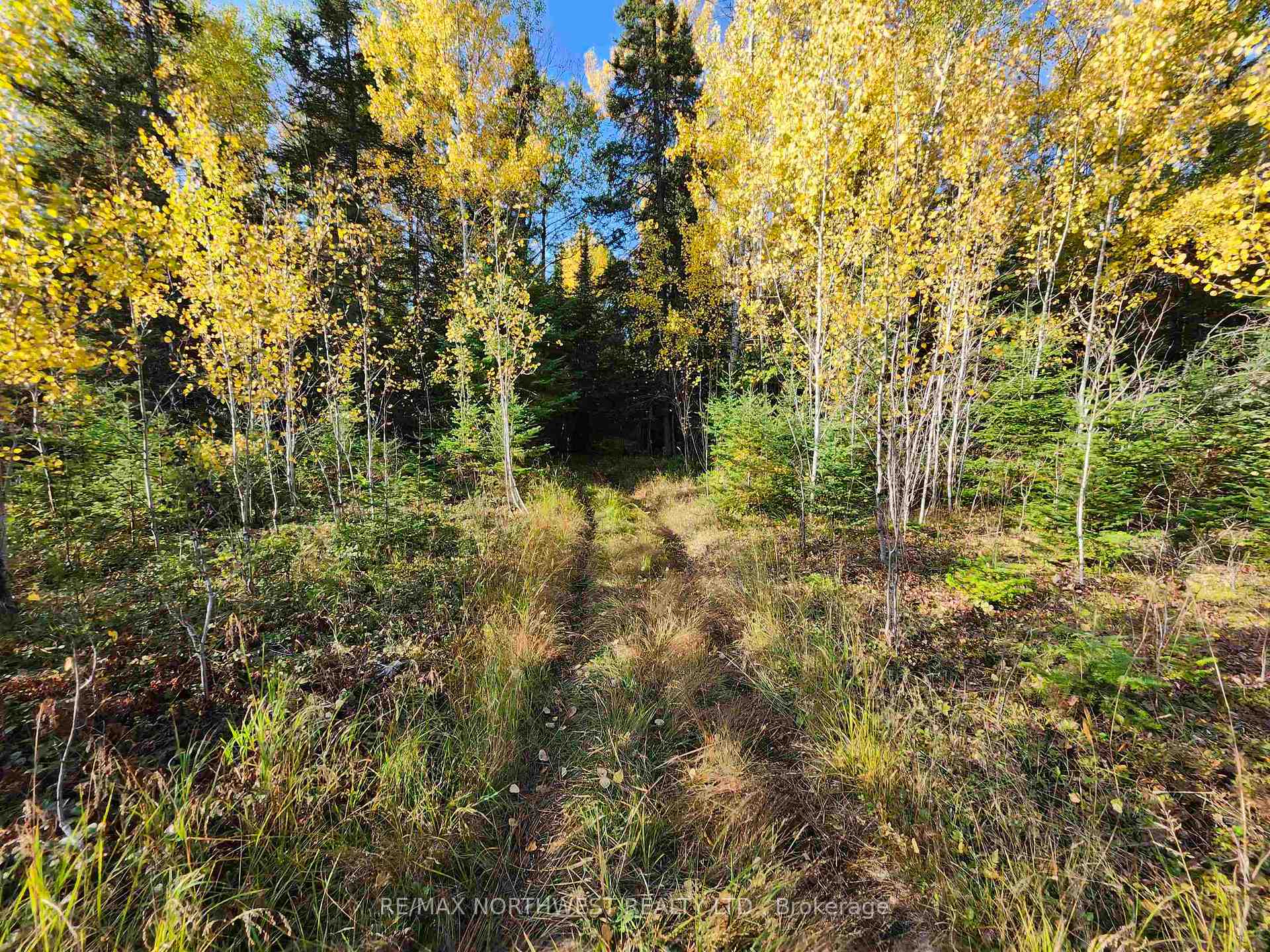 Photo 24 of 18 Johnson Road, Kenora, Airport Road North — HOMEH