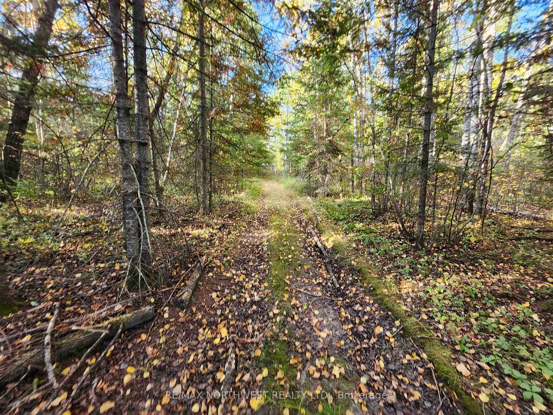 Photo 25 of 18 Johnson Road, Kenora, Airport Road North — HOMEH