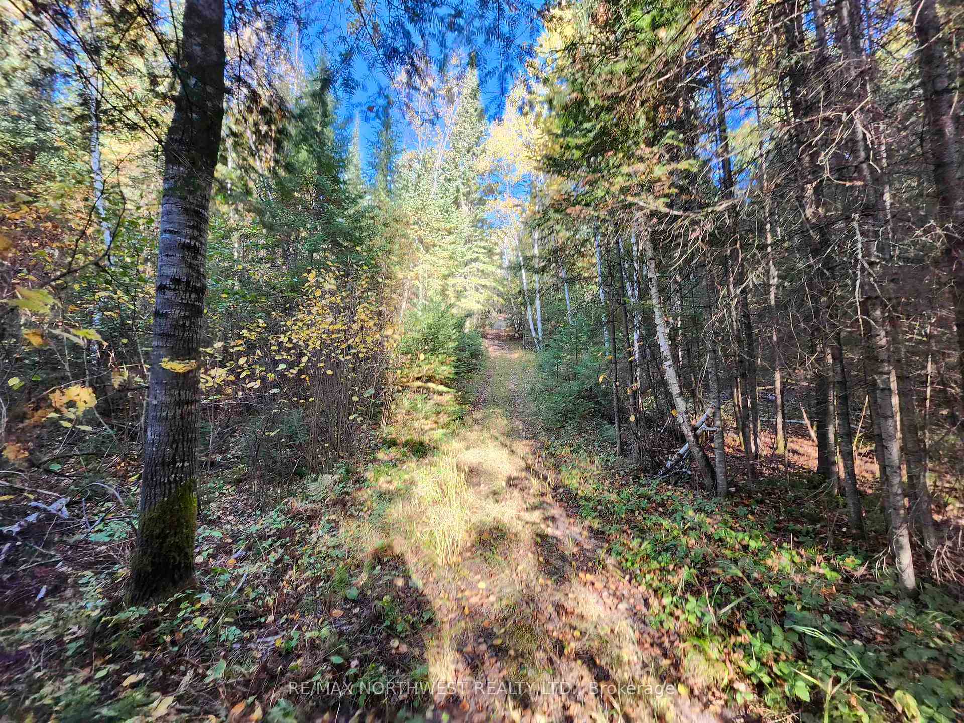 Photo 28 of 18 Johnson Road, Kenora, Airport Road North — HOMEH