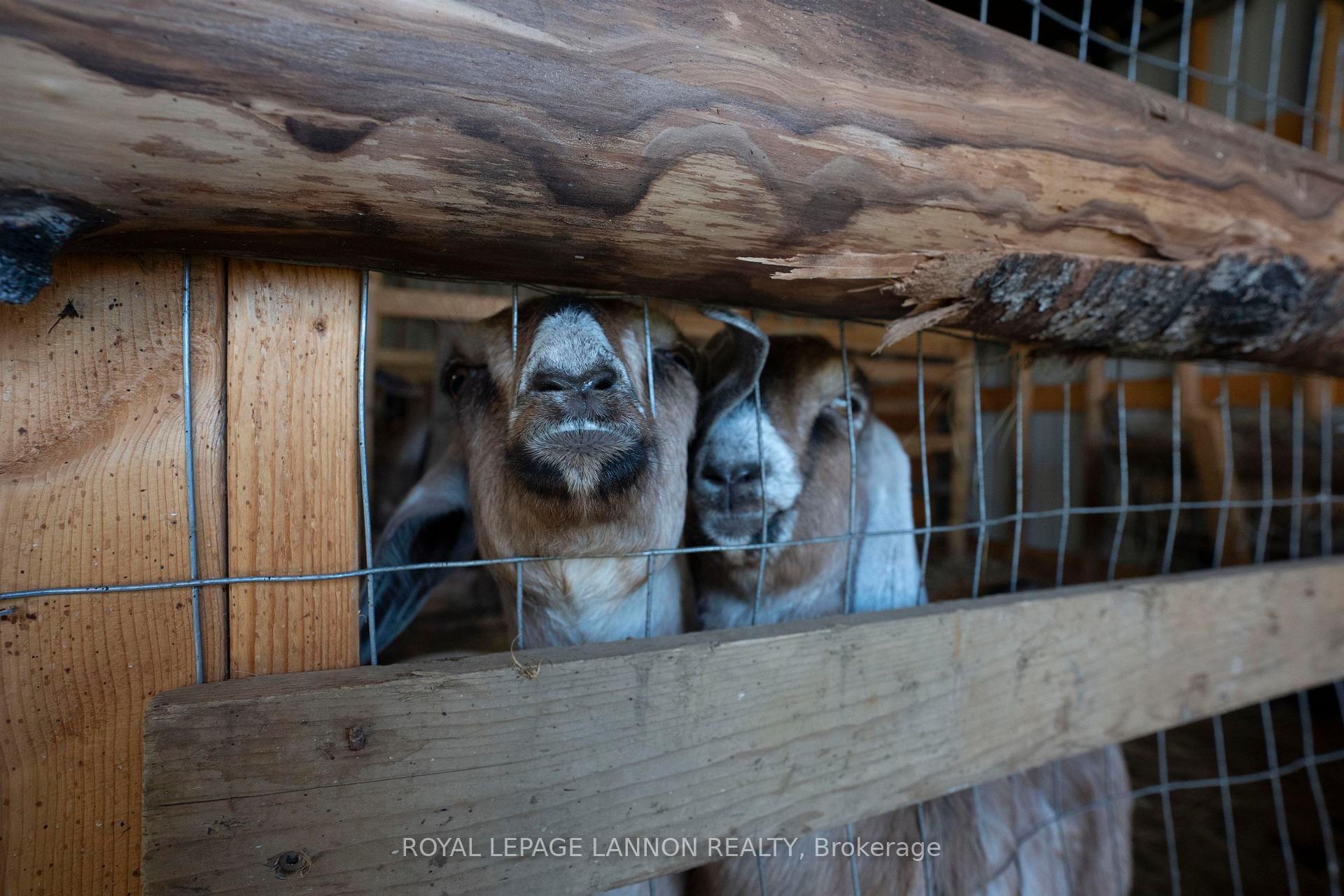 Photo 19 of 56 Savoie Road, Neebing, Crooks — HOMEH