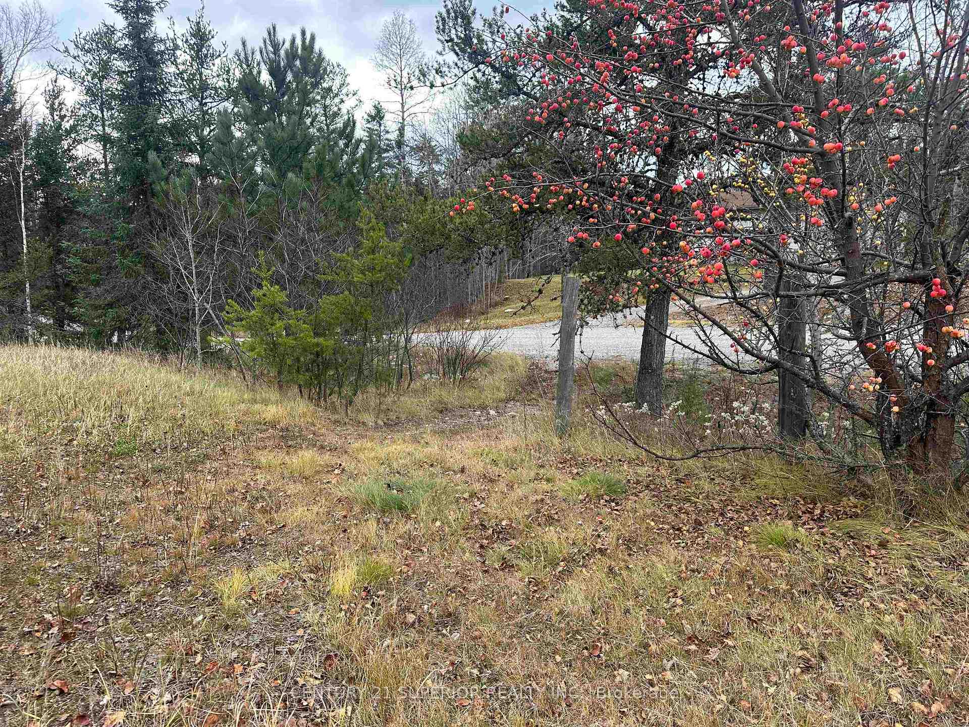 Photo 36 of 5 Northern Cres, Thunder Bay Remote Area — HOMEH