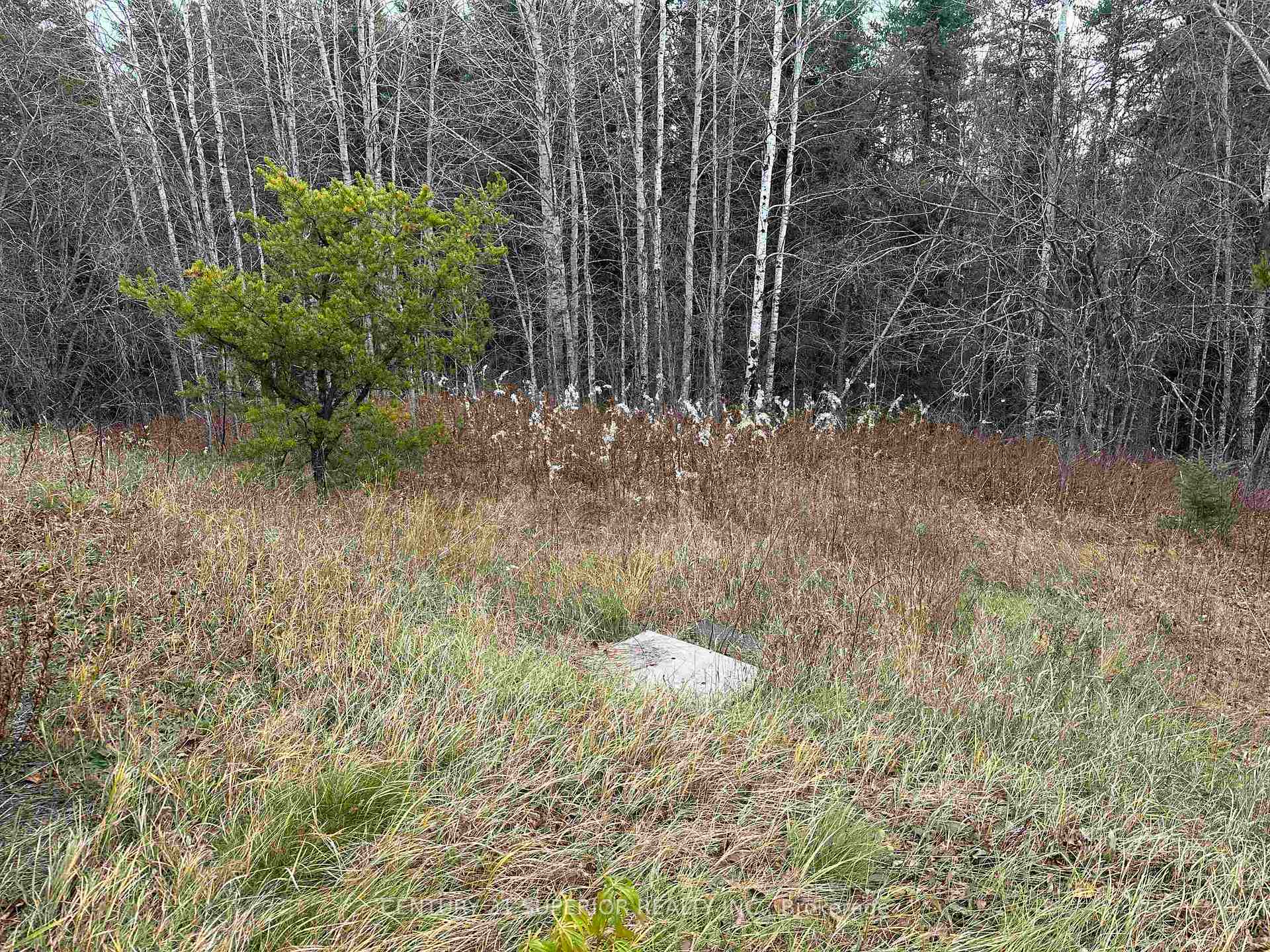 Photo 40 of 5 Northern Cres, Thunder Bay Remote Area — HOMEH