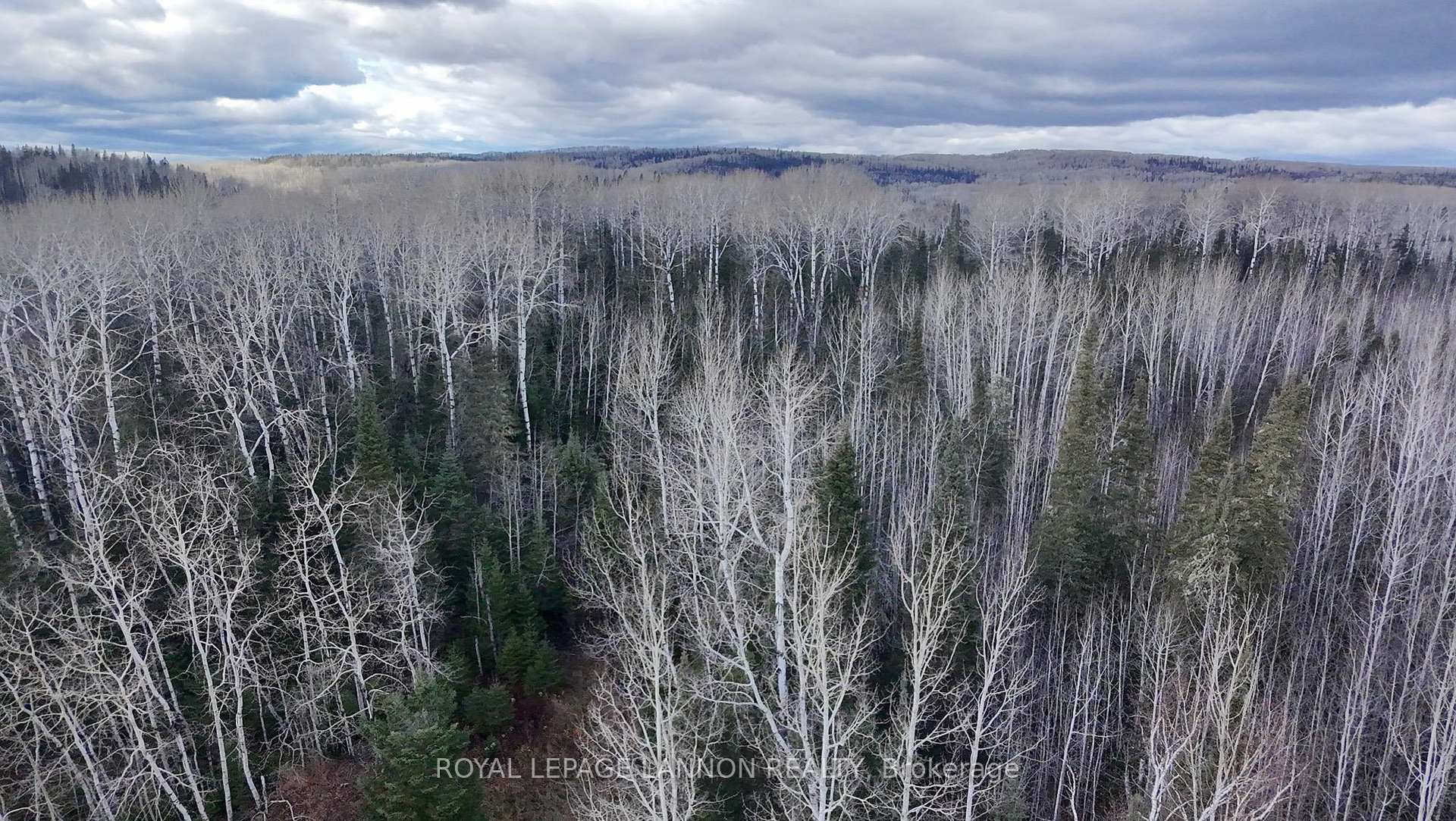 Photo 4 of 1471 Hwy 608, Gillies — HOMEH