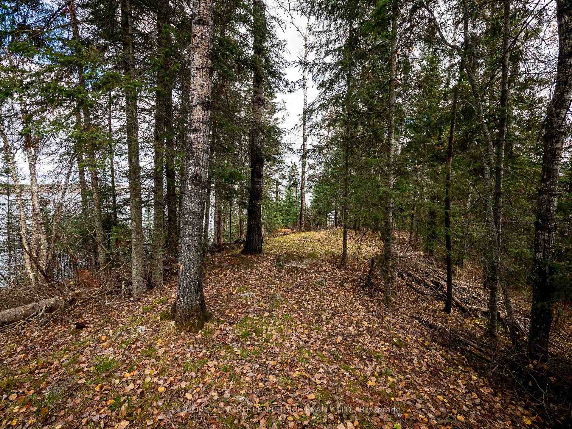 Photo 22 of 67 Coward Road, Kenora Remote Area, West of Kenora — HOMEH