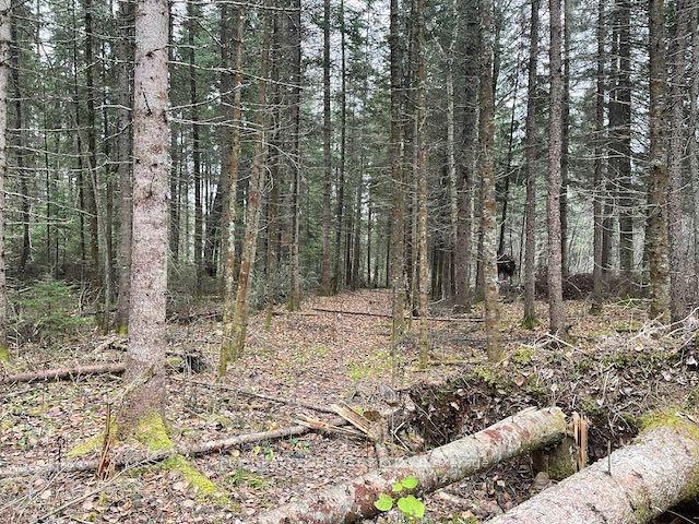 Photo 4 of 100 Acres Parcel 7576, First Nations — HOMEH