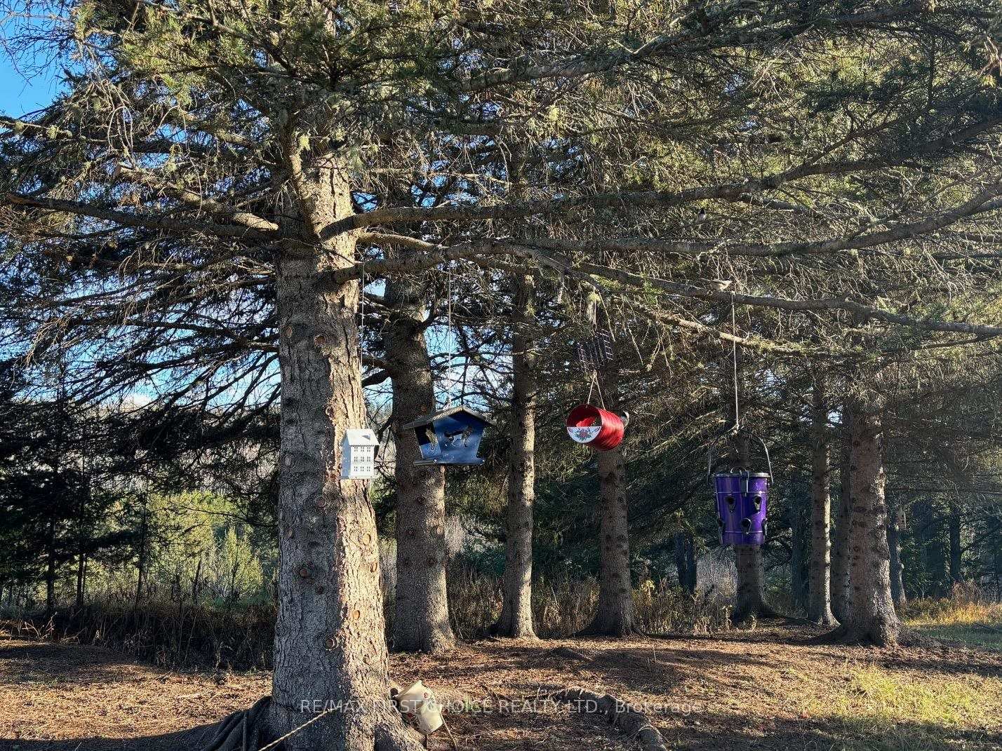 Photo 1 of Hwy 608, Neebing, Blake — HOMEH