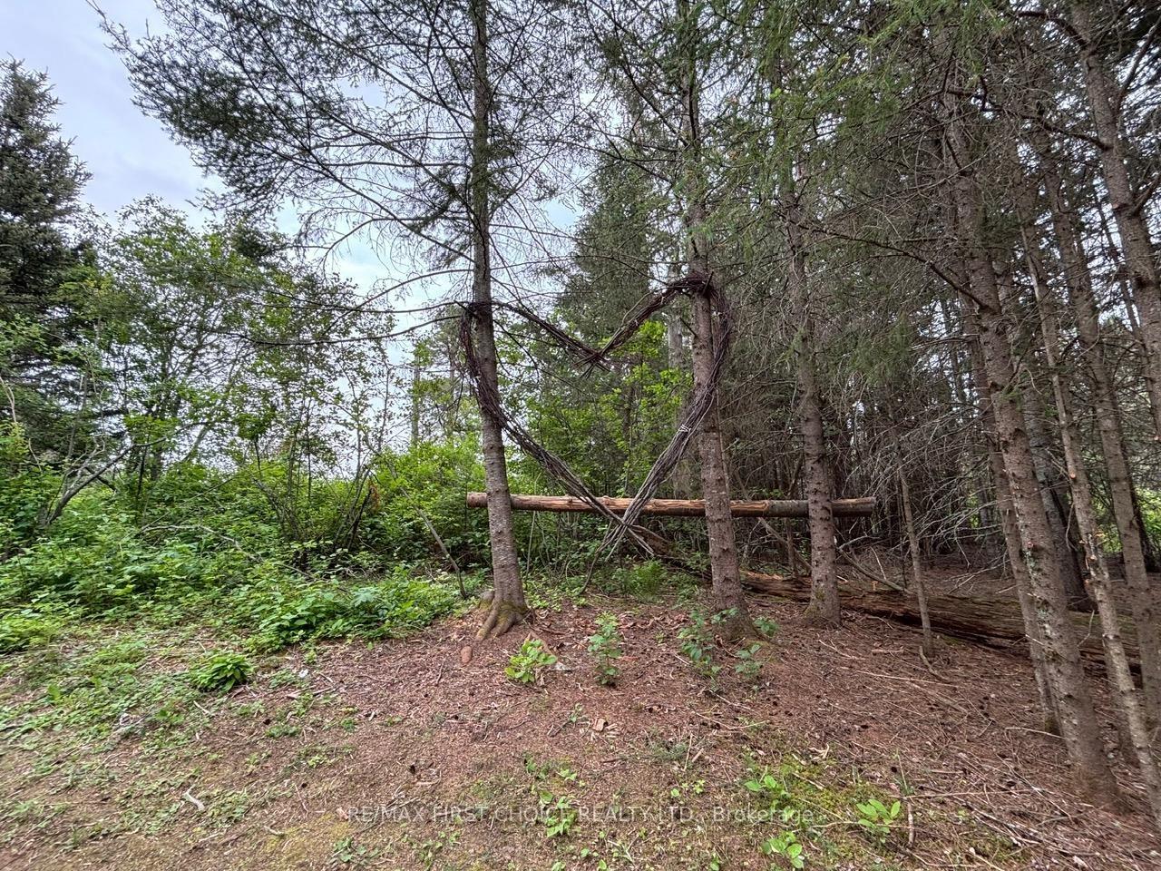 Photo 2 of Hwy 608, Neebing, Blake — HOMEH