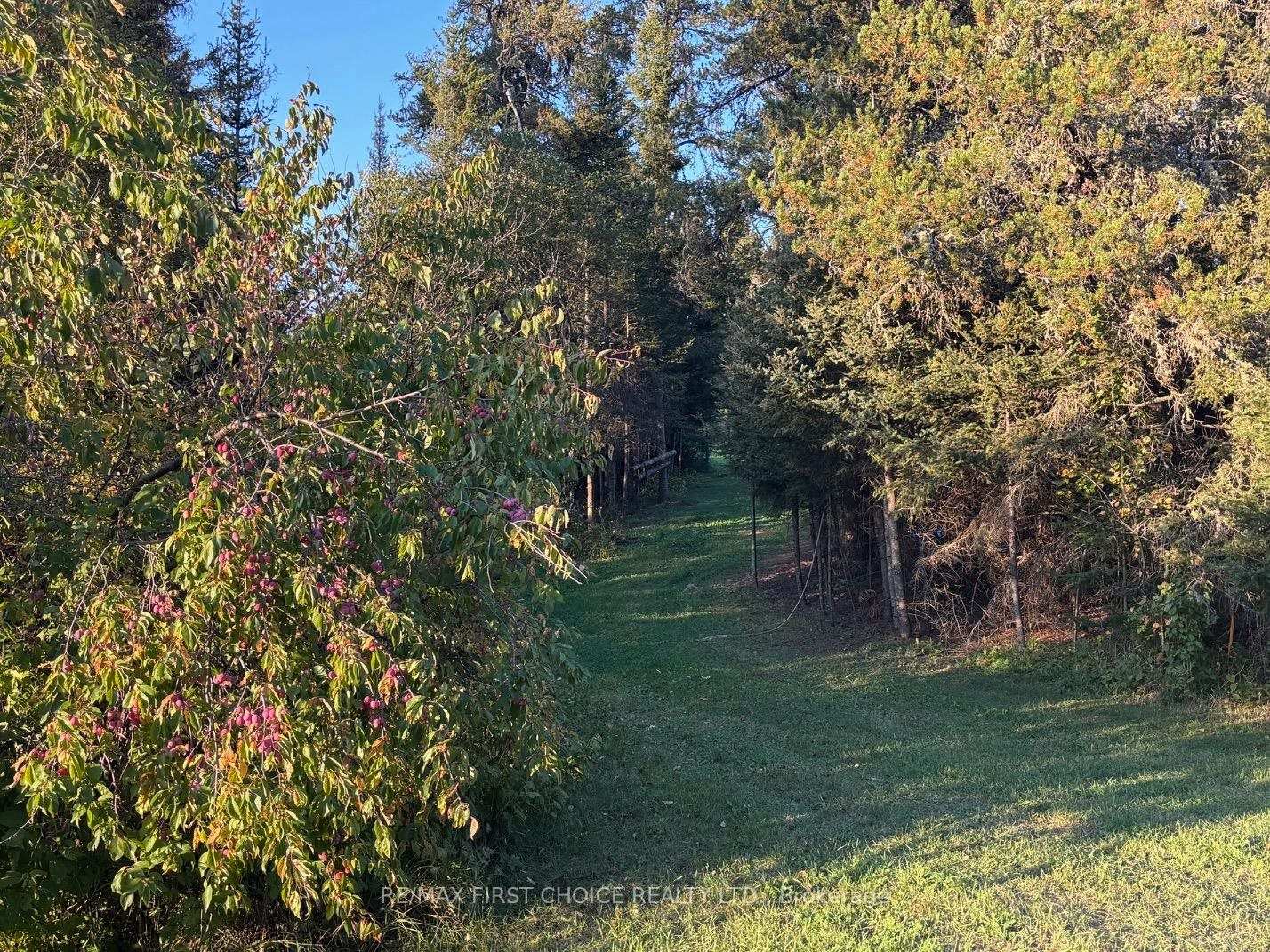 Photo 9 of Hwy 608, Neebing, Blake — HOMEH