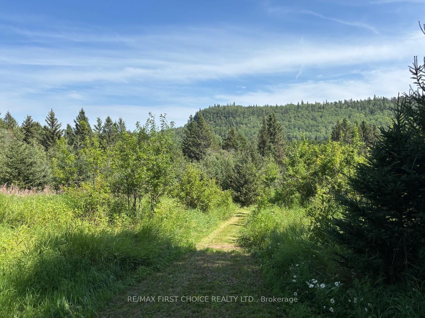 Photo 13 of Hwy 608, Neebing, Blake — HOMEH