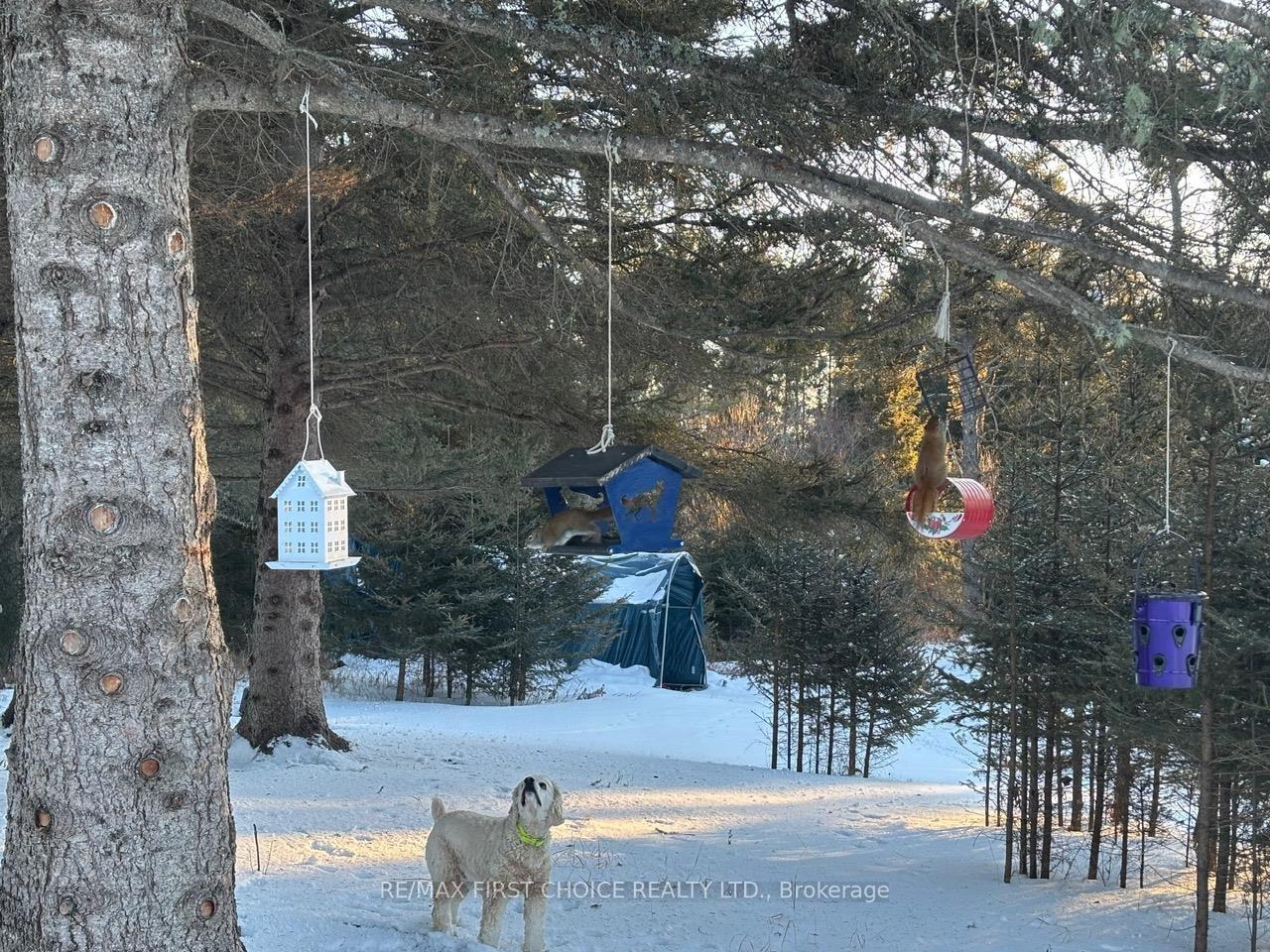 Photo 19 of Hwy 608, Neebing, Blake — HOMEH