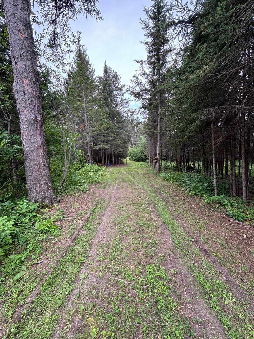 Photo 20 of Hwy 608, Neebing, Blake — HOMEH