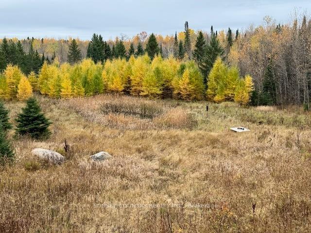 Photo 6 of 14794 17 E, Dryden, Barclay — HOMEH