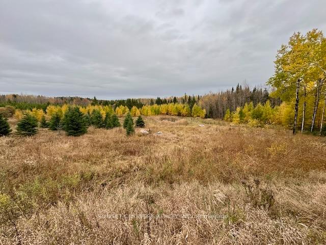 Photo 7 of 14794 17 E, Dryden, Barclay — HOMEH