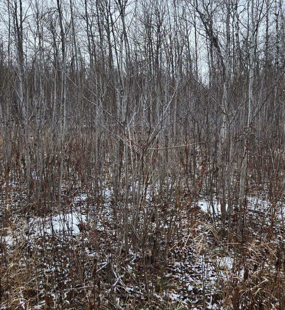 Photo 6 of PCL 11368, Chapple — HOMEH