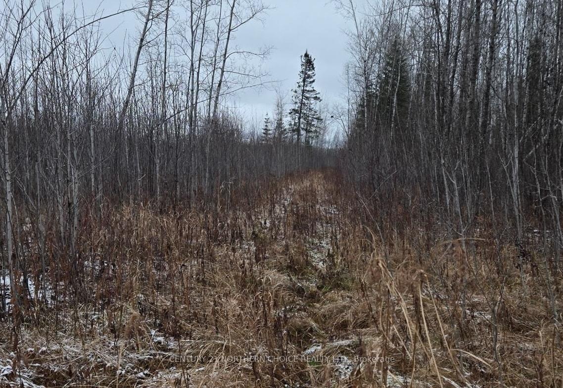 Photo 7 of PCL 11368, Chapple — HOMEH