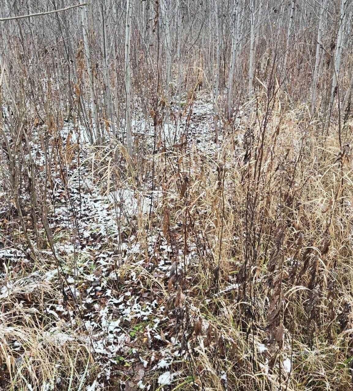 Photo 8 of PCL 11368, Chapple — HOMEH