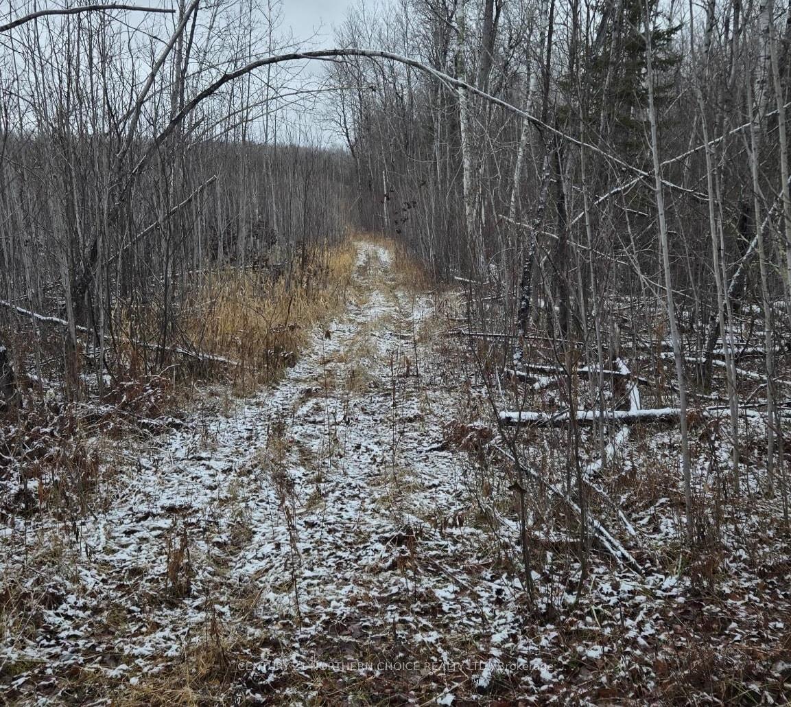 Photo 10 of PCL 11368, Chapple — HOMEH