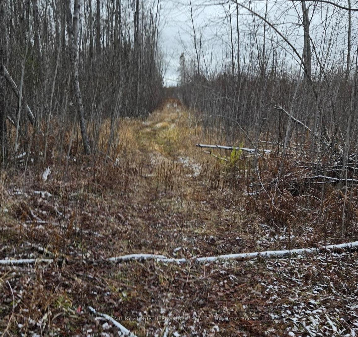 Photo 11 of PCL 11368, Chapple — HOMEH