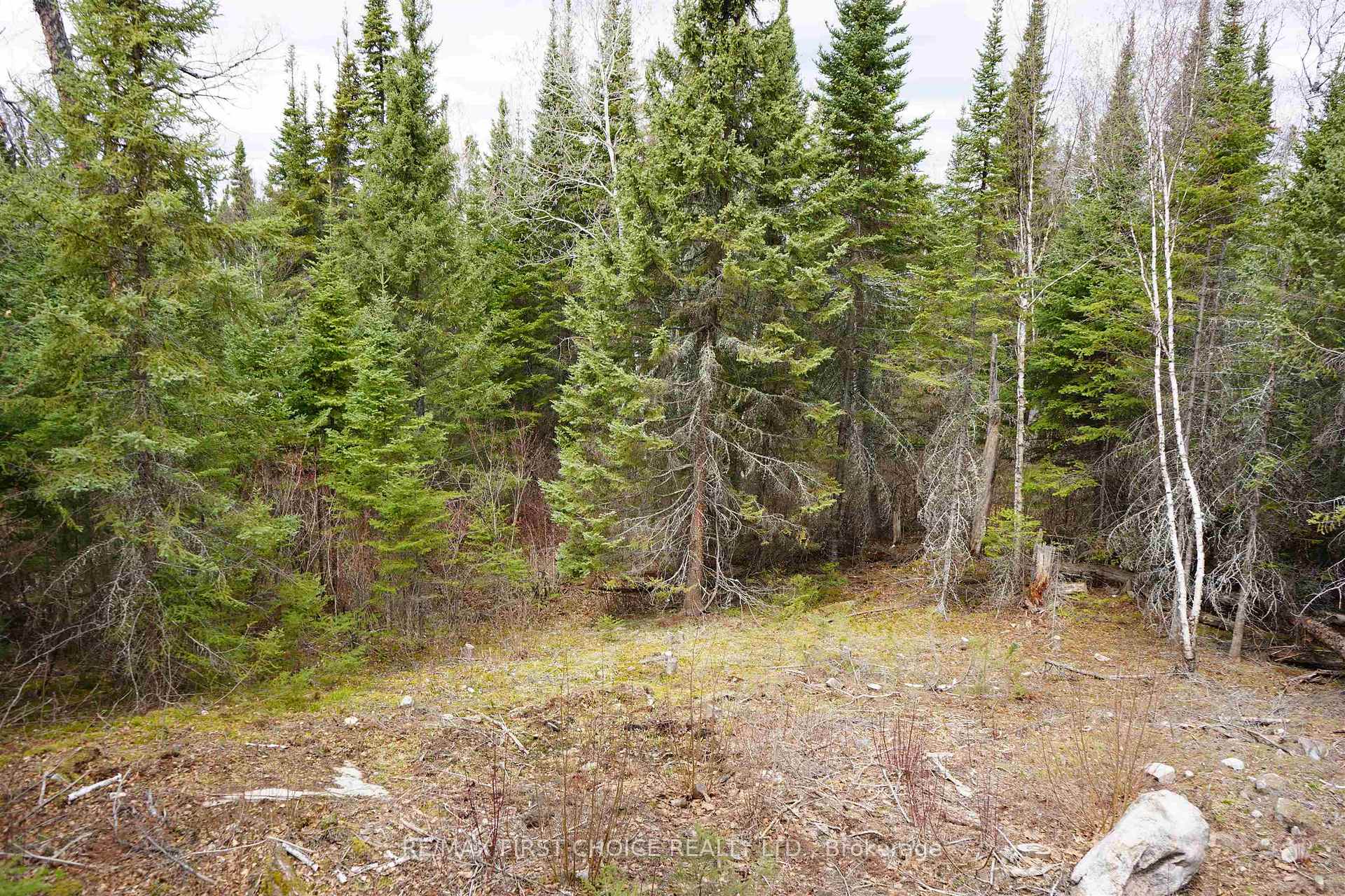 Photo 35 of 1 Gunn Lake Road, Kenora Remote Area, Minaki-Winnepeg River — HOMEH