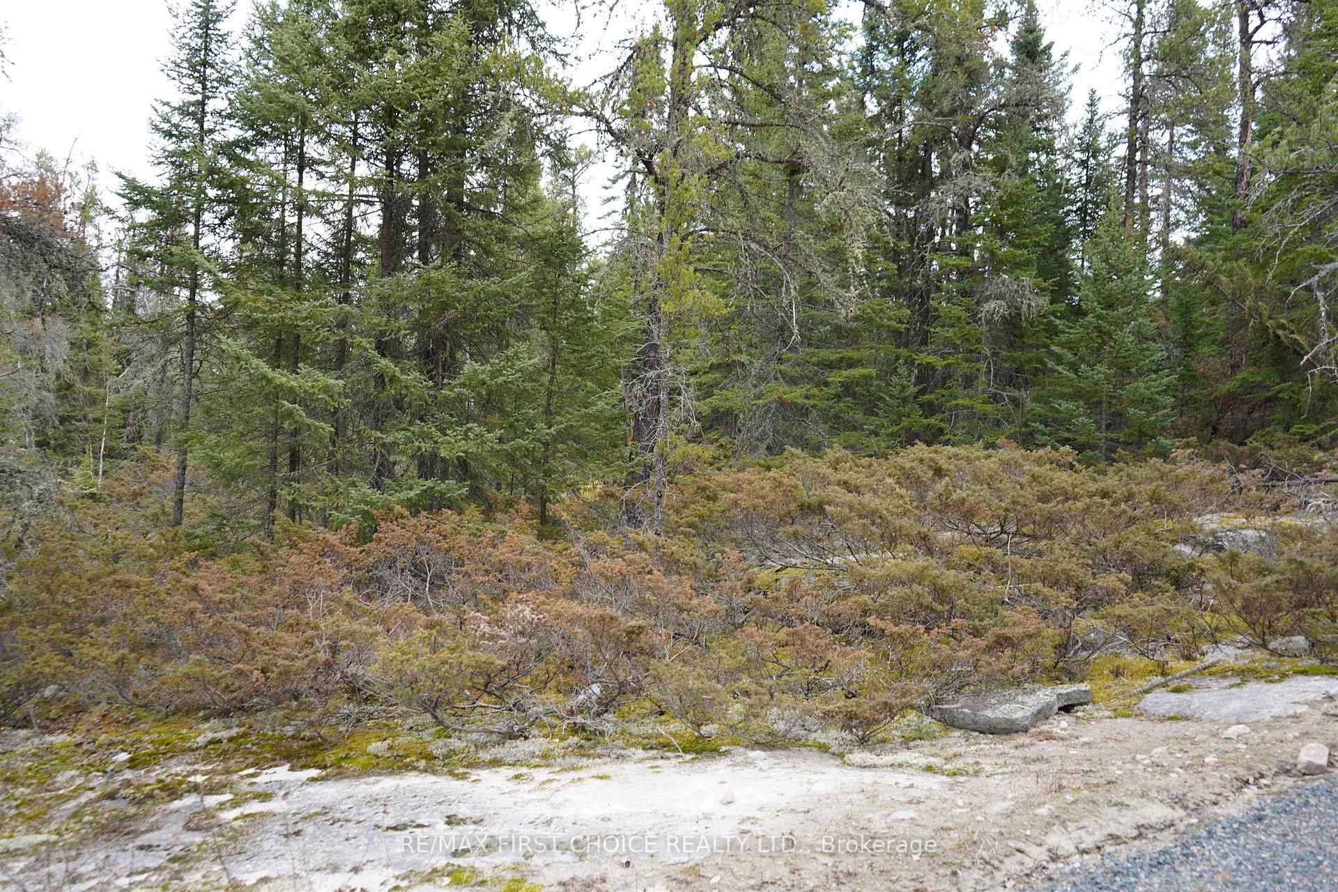 Photo 43 of 1 Gunn Lake Road, Kenora Remote Area, Minaki-Winnepeg River — HOMEH