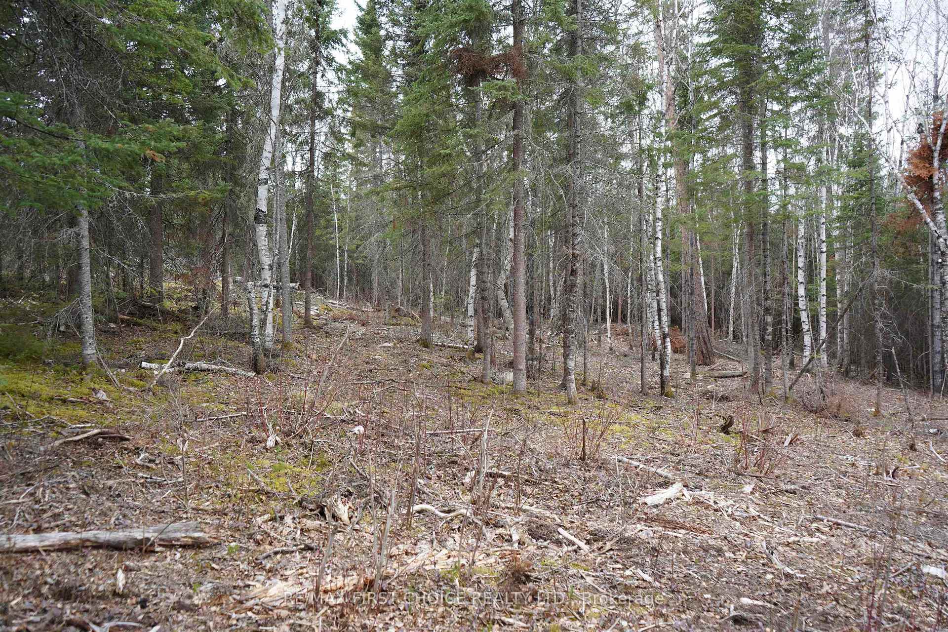 Photo 45 of 1 Gunn Lake Road, Kenora Remote Area, Minaki-Winnepeg River — HOMEH