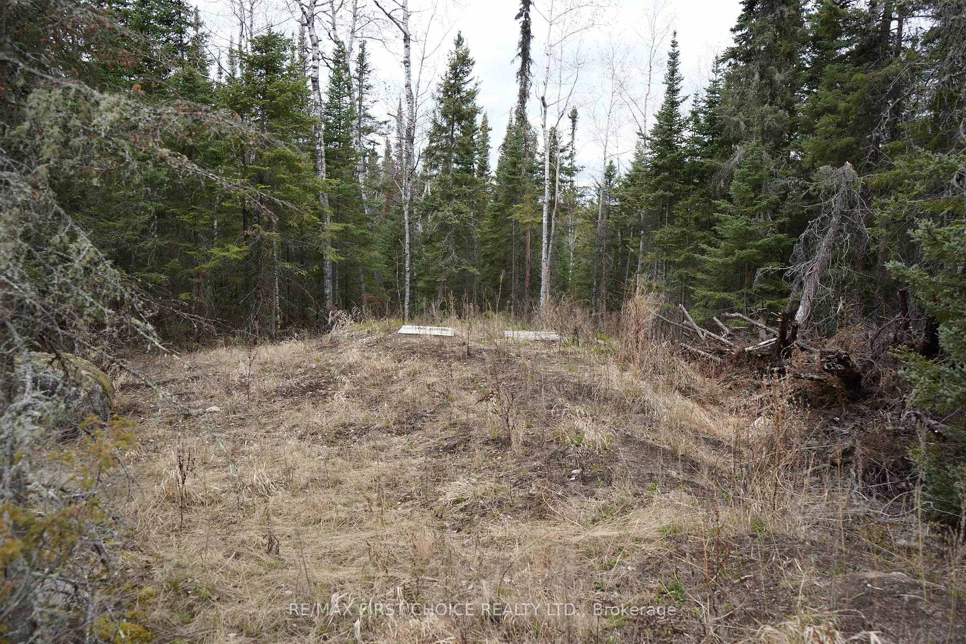 Photo 50 of 1 Gunn Lake Road, Kenora Remote Area, Minaki-Winnepeg River — HOMEH
