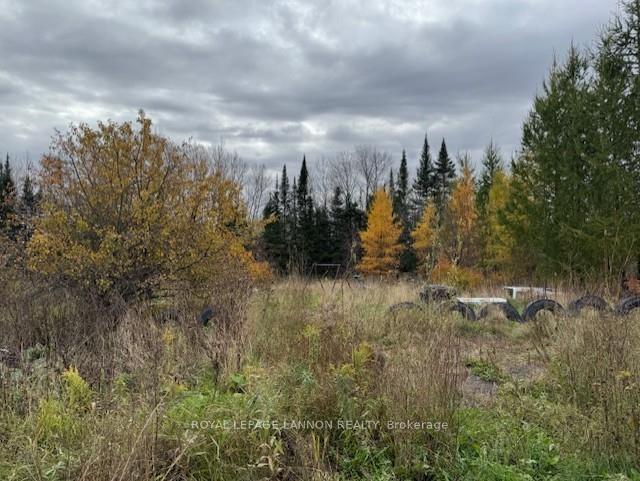 Photo 22 of 128 Old School Road, Thunder Bay Remote Area, Lybster — HOMEH